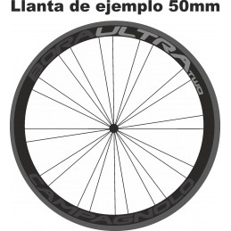 Pegatinas CAMPAGNOLO BORAULTRA TWO