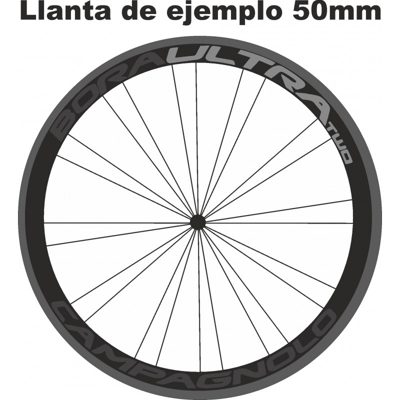 Pegatinas CAMPAGNOLO BORAULTRA TWO