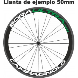 Pegatinas CAMPAGNOLO BORAULTRA TWO