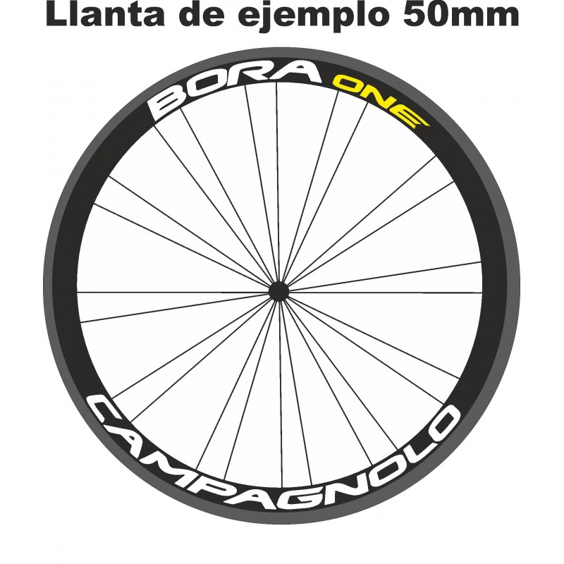 Pegatinas CAMPAGNOLO BORA ONE