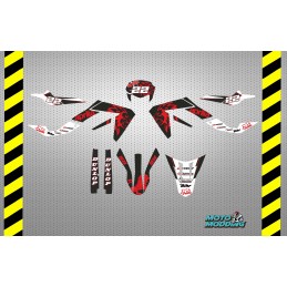 Pegatinas Aprilia SX 50 stickers diseño Leones