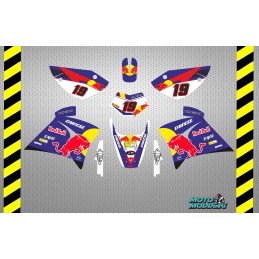 Kit de pegatinas Rieju RR diseño red bull