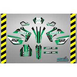 Kit pegatinas Rieju MRT 50 diseño tricolor verde