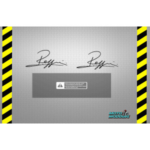 Adhesivos  cúpula Aprilia RS250 Reggiani