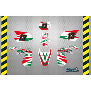 Kit de pegatinas Rieju MRX / SMX 2001-2004 diseño castrol