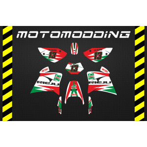 pegatinas Rieju RR diseño Castrol