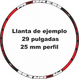 Pegatinas llantas bici mtb calcas stickers PROGRESS vinilos ruedas