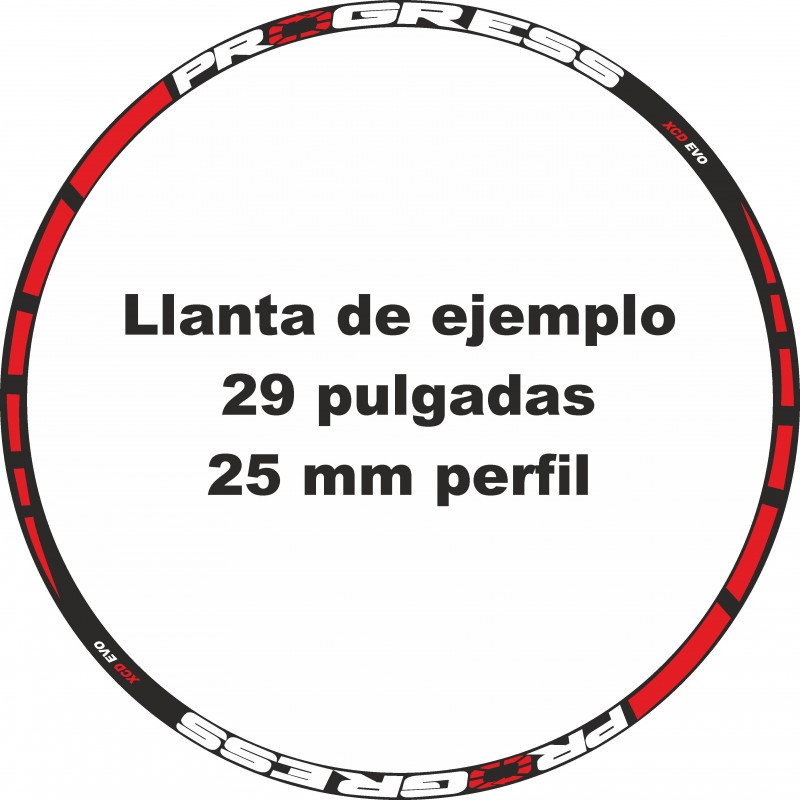 Pegatinas llantas bici mtb calcas stickers PROGRESS vinilos ruedas