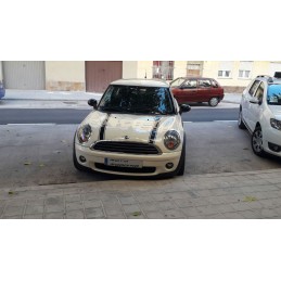 Pegatinas decoración Mini