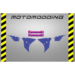 Laterales kawasaki zx-r 750 H1
