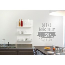 Viniolo decorativo Mr wonderful si no tardas mucho te espero toda la vida