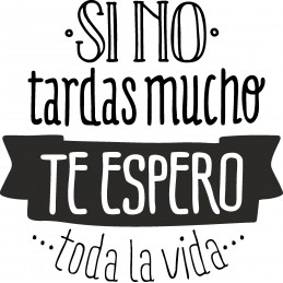 Viniolo decorativo Mr wonderful si no tardas mucho te espero toda la vida
